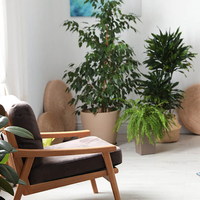 Digital Feng Shui